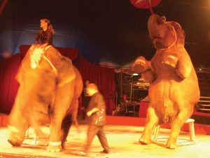 Circus World.