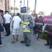 Ringling Circus met by hundreds protesting in Southern California