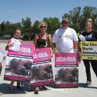 Ringling Circus met by hundreds protesting in Southern California