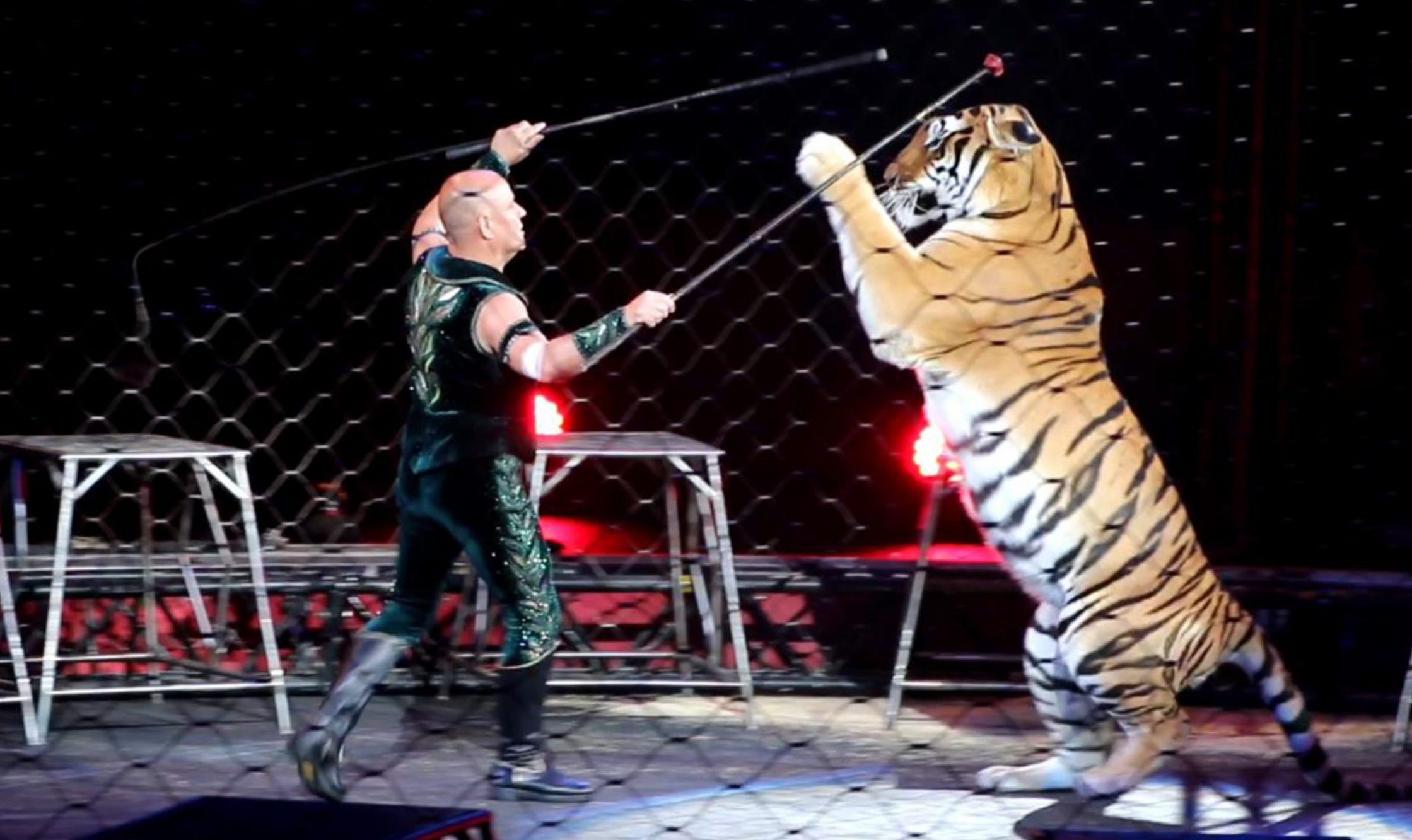 America's largest animal circus closes after 146 years! - Stop Circus  Suffering