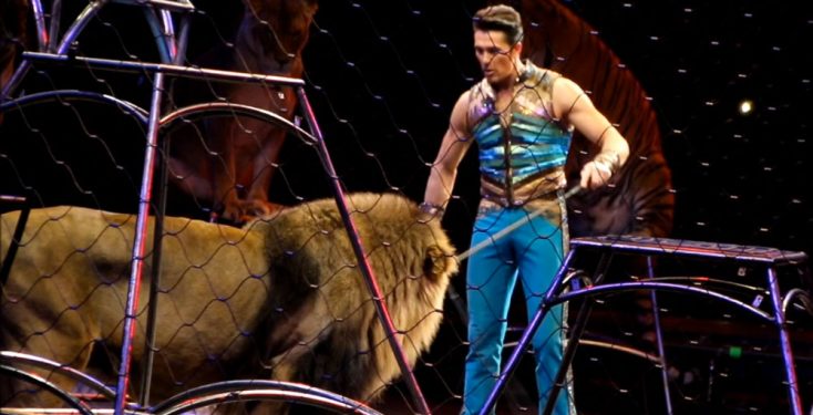 CT ban on wild animal acts to be heard on March 16th! - Stop Circus  Suffering