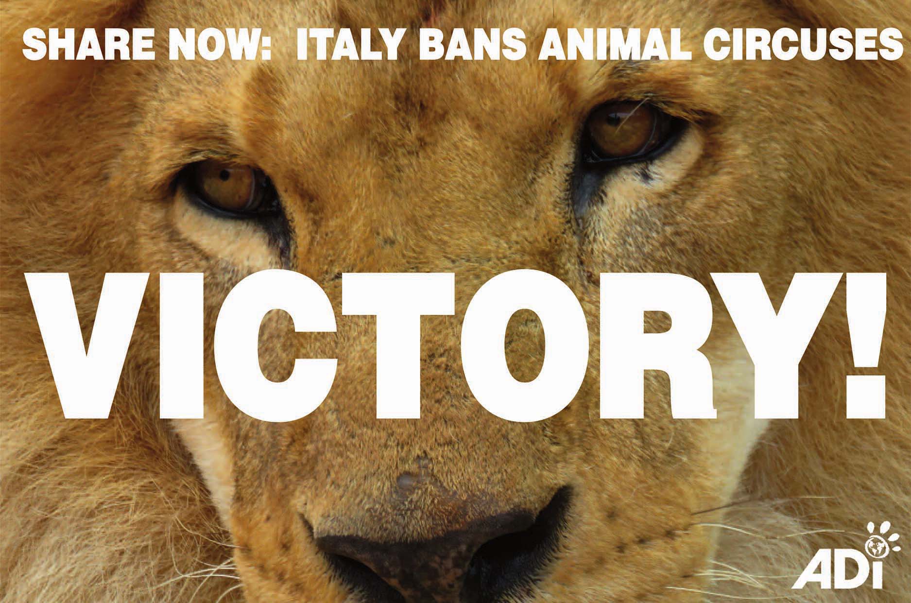 VICTORY! Italy has banned ALL animals in circuses! - Stop Circus Suffering