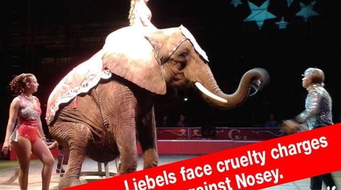 Liebels face cruelty charges against Nosey - Stop Circus Suffering