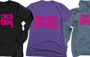 black long sleeve shirt purple tee blue grey hoodie that says "Stop Circus Suffering"